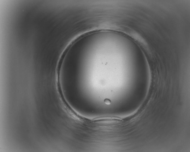 X0000070211280200605261242