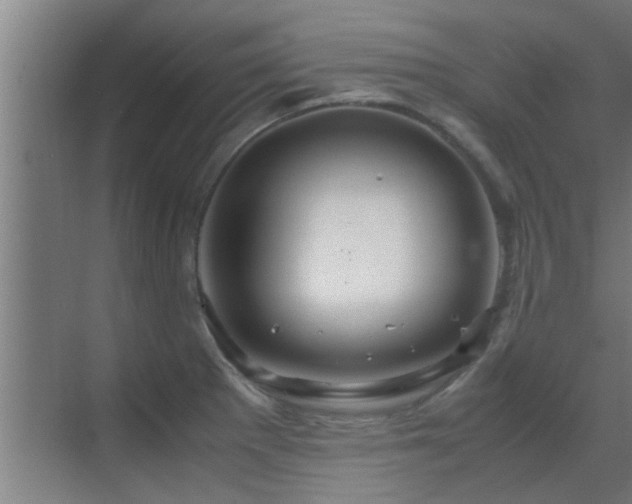 X0000070211281200605261242