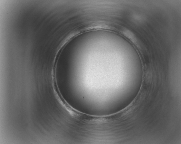 X0000070211282200605261242