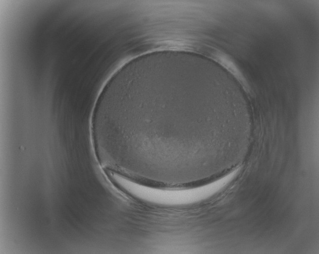 X0000070211283200605261242