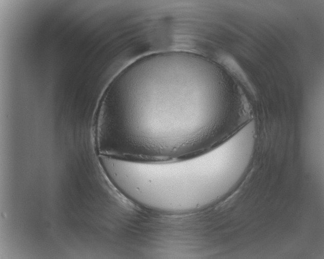 X0000070211284200605261242