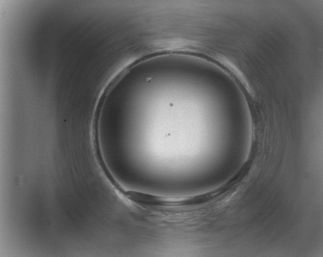 X0000070211285200605261242