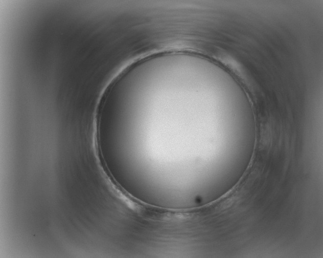 X0000070211286200605261242