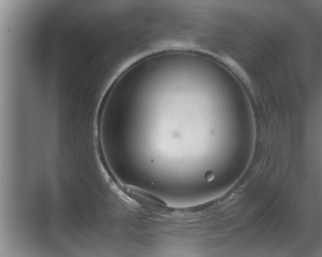 X0000070211287200605261242