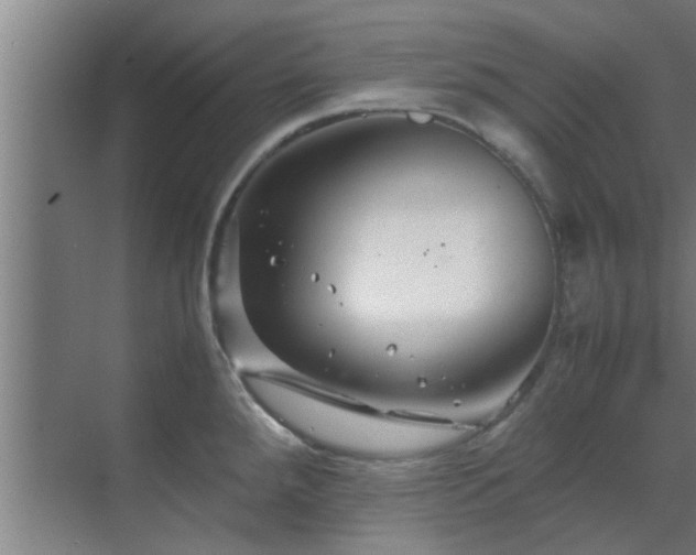 X0000070211288200605261242