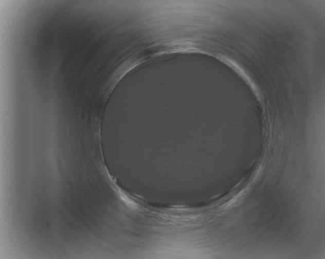 X0000070211289200605261242