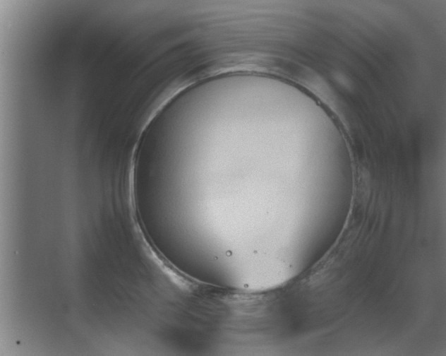 X0000070211290200605261242