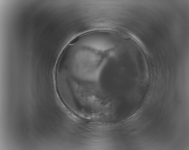 X0000070211291200605261242