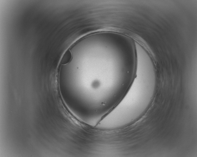 X0000070211292200605261242