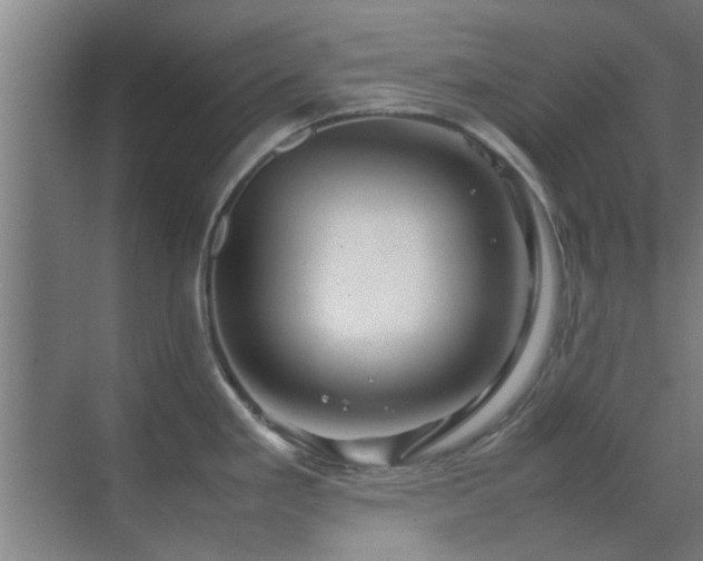 X0000070211293200605261242