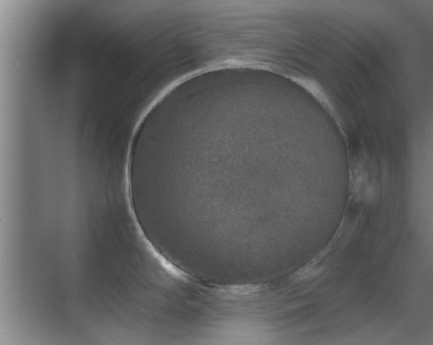 X0000070211294200605261242