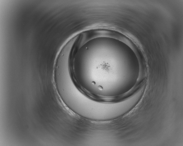 X0000070211296200605261242