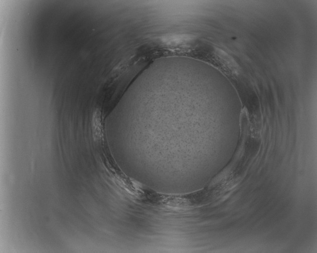 X0000070211298200605261241