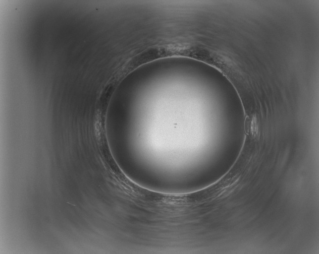 X0000070211299200605261241