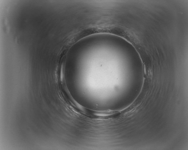 X0000070211300200605261241