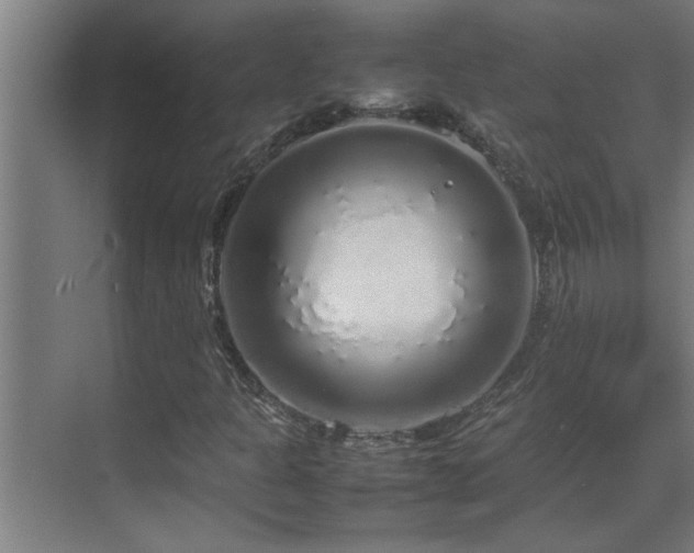 X0000070211301200605261241