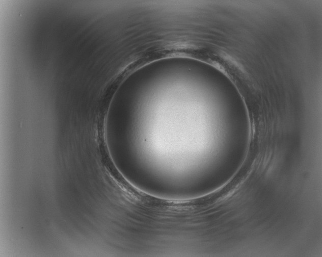 X0000070211305200605261241