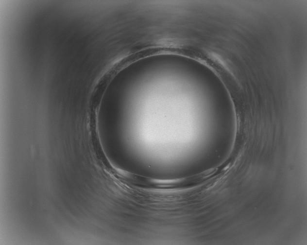 X0000070211307200605261241