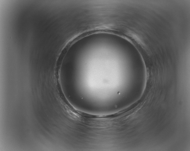 X0000070211308200605261242