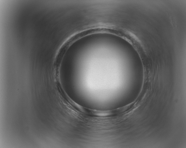 X0000070211310200605261242