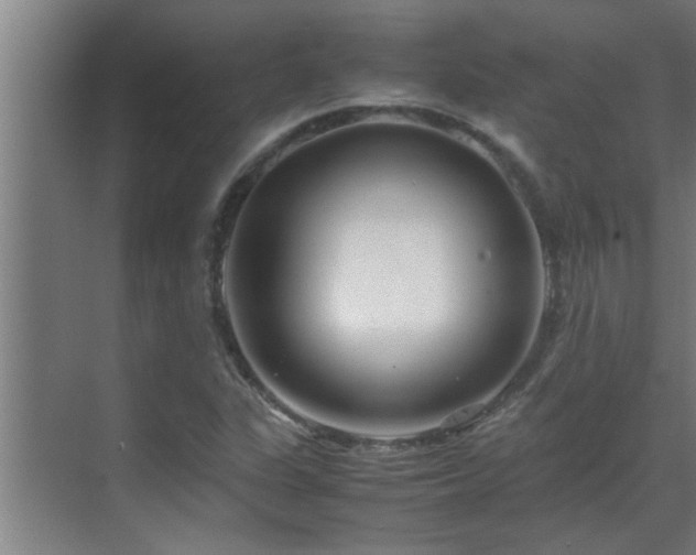 X0000070211311200605261242