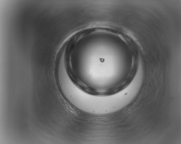 X0000070211312200605261242