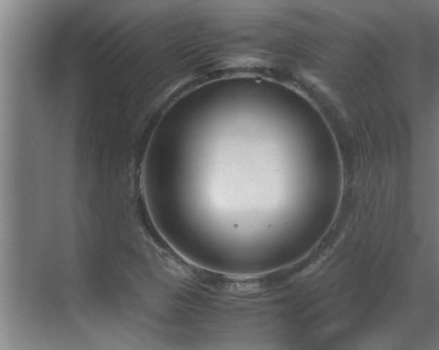 X0000070211313200605261242