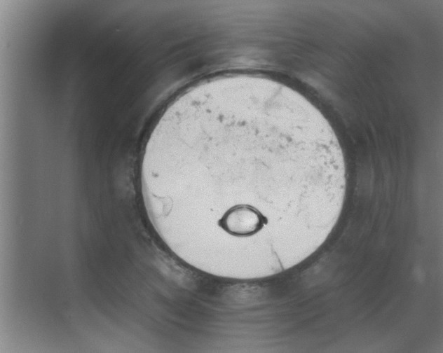 X0000070211314200605261242