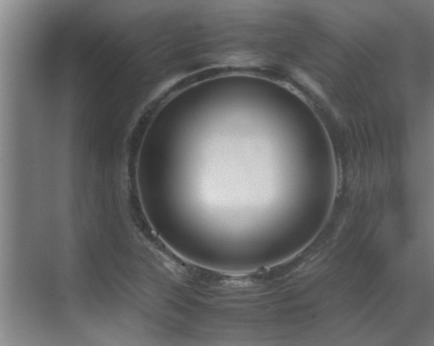 X0000070211315200605261242