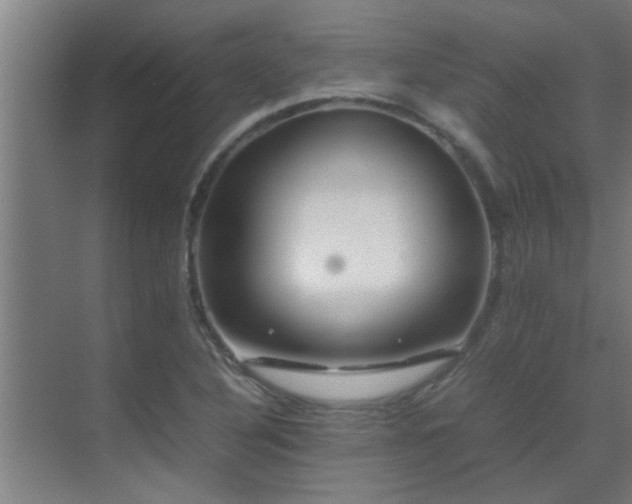 X0000070211316200605261242