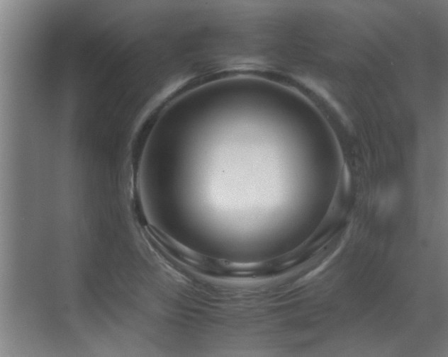 X0000070211317200605261242