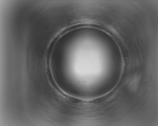 X0000070211318200605261242