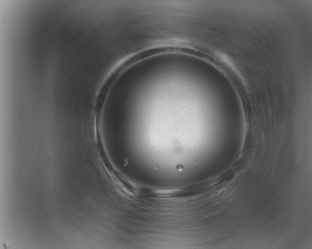 X0000070211320200605261242