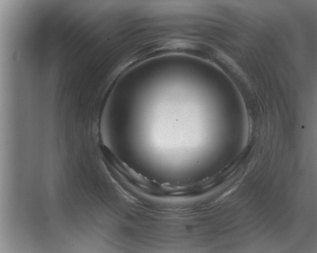 X0000070211321200605261242