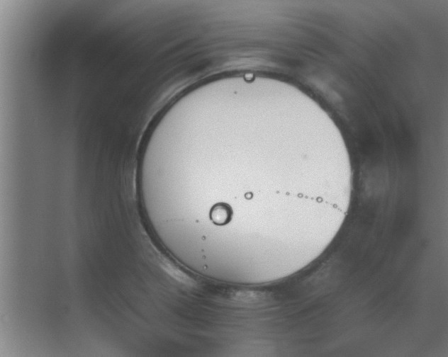 X0000070211322200605261242