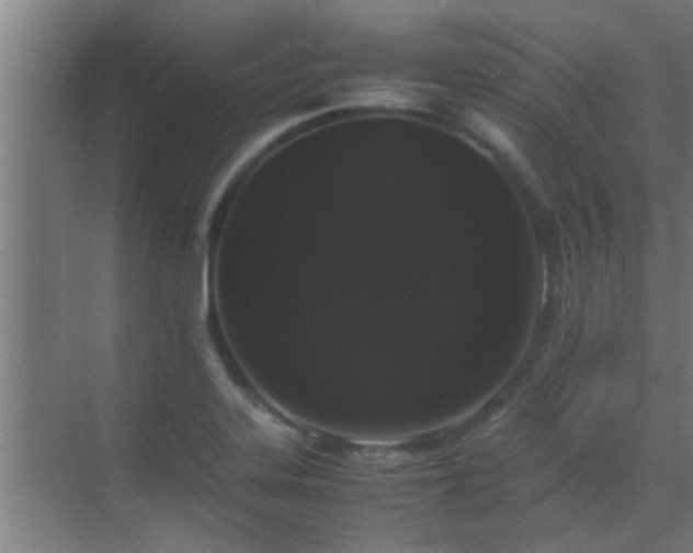 X0000070211323200605261242