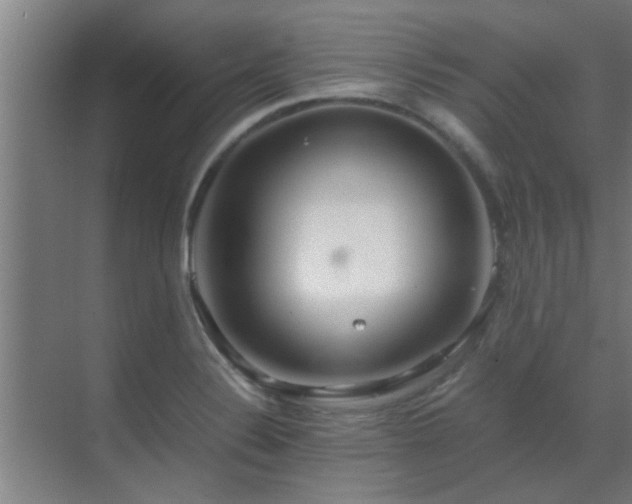 X0000070211324200605261242