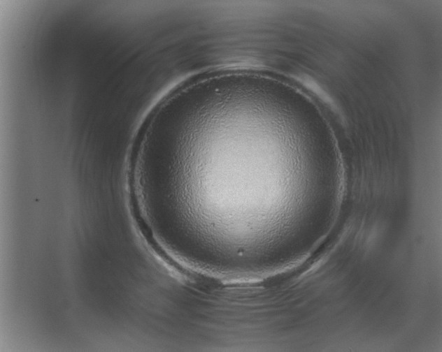 X0000070211325200605261242