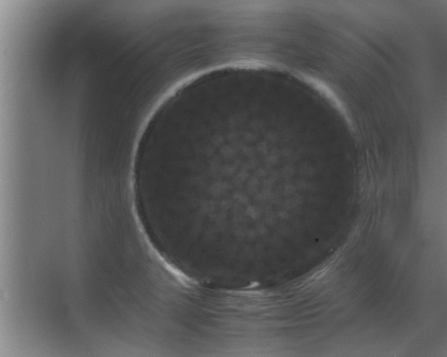 X0000070211327200605261242