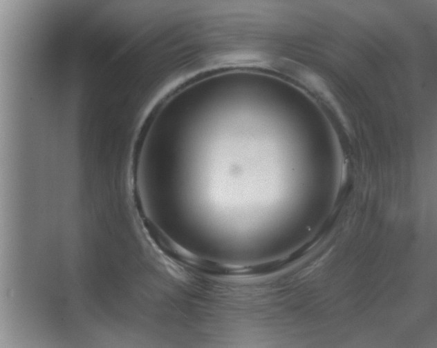 X0000070211328200605261242