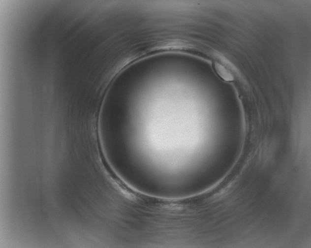 X0000070211329200605261242