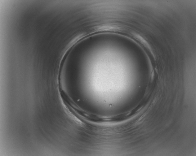 X0000070211330200605261242