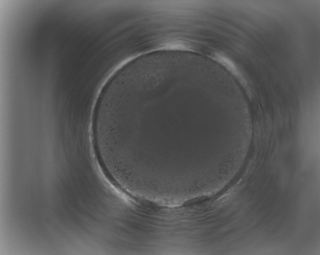 X0000070211331200605261242