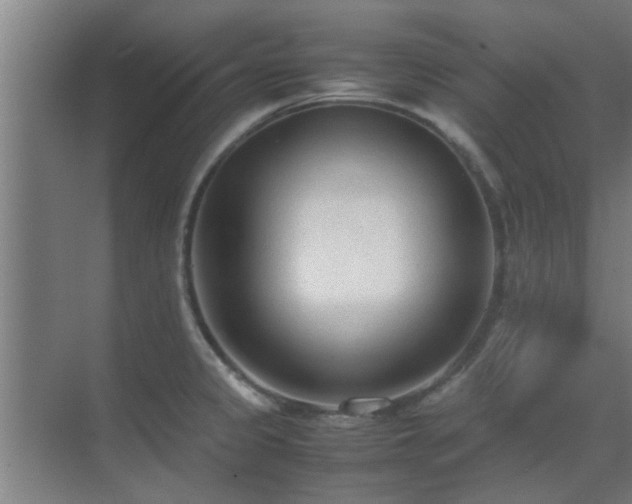 X0000070211333200605261242