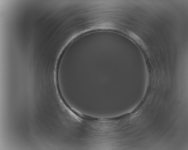 X0000070211334200605261242