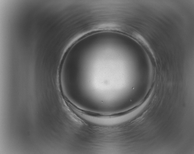 X0000070211336200605261242