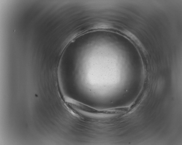 X0000070211337200605261242