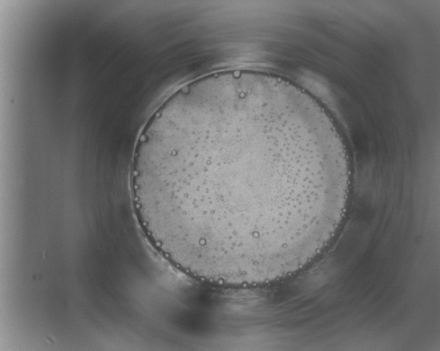 X0000070211338200605261242