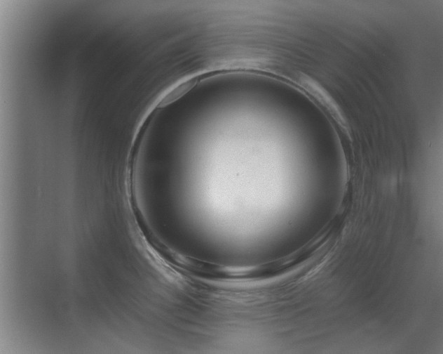 X0000070211340200605261242