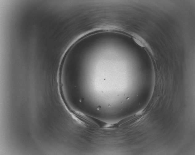 X0000070211343200605261242